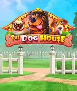 Experience Pragmatic Play's The Dog House Slot, featuring an adorable journey among playful pups. Discover gameplay elements including sticky wilds, aimed at providing entertaining gameplay. Perfect for pet lovers an amusing theme and the opportunity to win big.