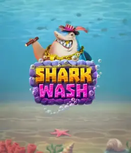 Насладитесь забавным подводным приключением с Shark Wash от Relax Gaming, представляющим цветную графику морской жизни, испытывающей фантастическую мойку. Примите участие в развлечению, когда акулы и другие морские животные наслаждаются пузырьковой чисткой, включая увлекательные бонусы вроде бесплатных вращений, вайлдов и специальных бонусов. Идеально для геймеров, кто ищет легкомысленного приключения в играх с свежей тематикой.