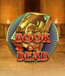 Enter the thrilling world of Book of Dead Slot by Play'n GO, showcasing vivid graphics of Rich Wilde’s adventurous journey through ancient Egyptian tombs and artifacts. Uncover lost riches with captivating mechanics like free spins, expanding symbols, and a gamble option. Ideal for those seeking adventure with a desire for unearthing secrets.